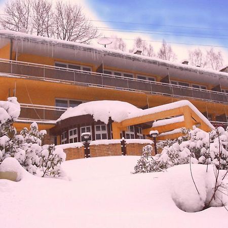 Hotel Wiktoria Sklářská Poruba Exteriér fotografie