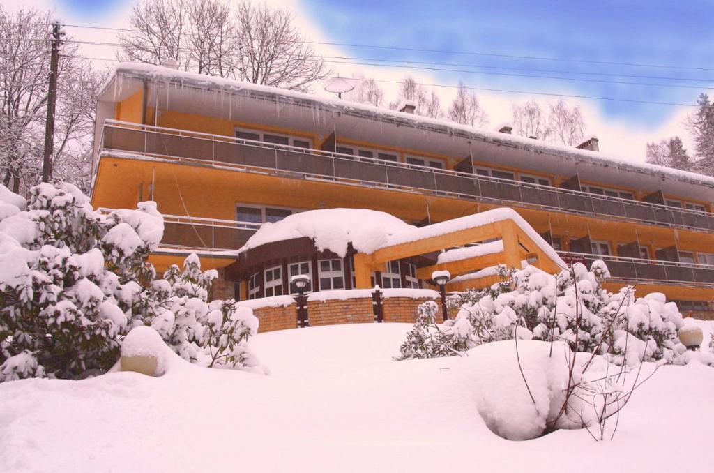 Hotel Wiktoria Sklářská Poruba Exteriér fotografie